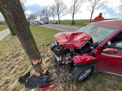 Automobiliste botst tegen boom, auto raakt zwaar beschadigd