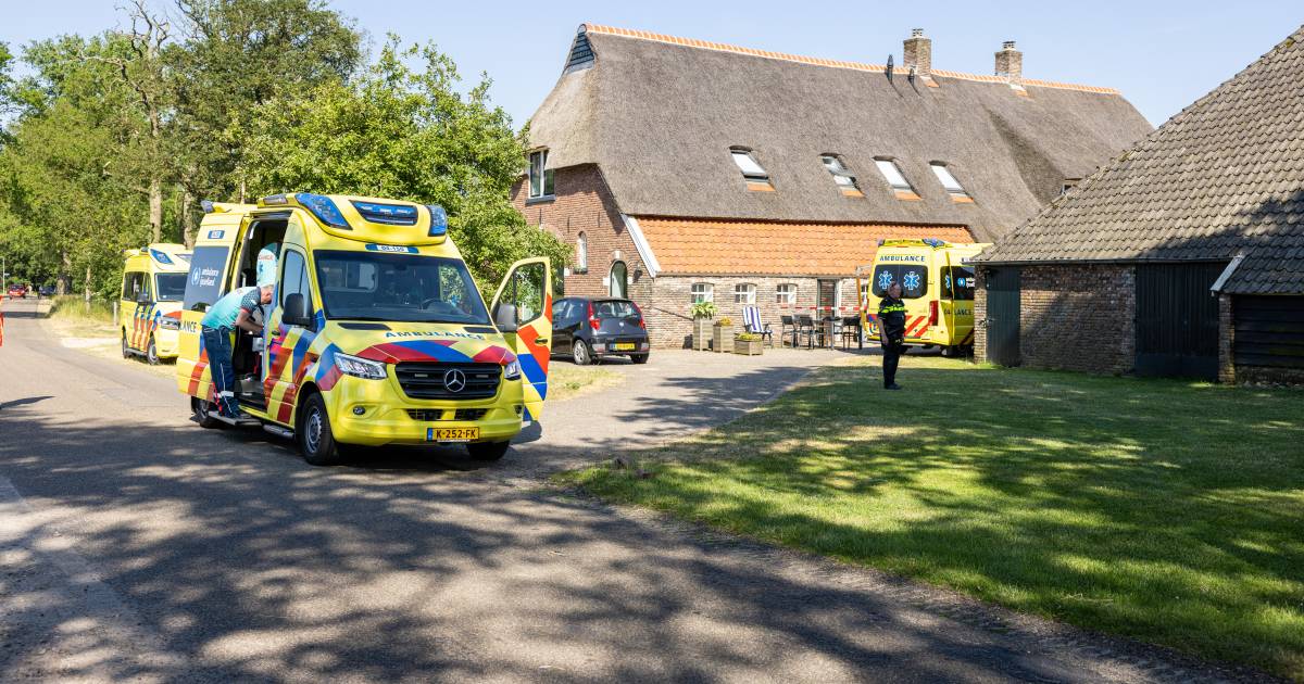 Roy (23) krijgt black-out en dan gaat het ‘helemaal mis’ op zorgboerderij: ‘Heb hem gesmeekt te stop