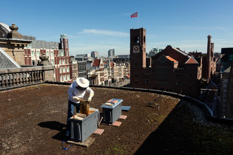 Op het dak van de Bijenkorf onderhoudt Philippe J.L. Smit twee bijenvolken. Beeld Jurre Rompa