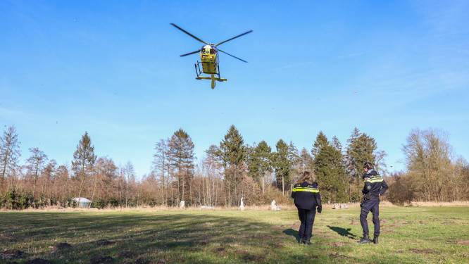 Man valt van ladder bij bouw hut in Kuinderbos bij Bant