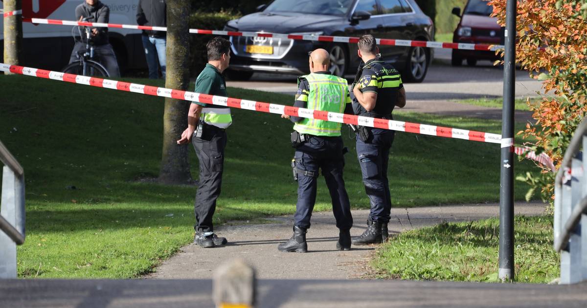 Lichaam van man gevonden in viswater in Uden, overleden door ongeval.