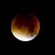 Lekker doorgeslapen? Zo mooi zag de bloedmaan eruit