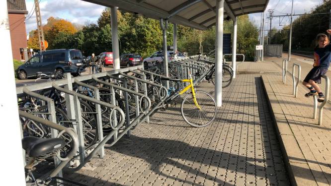 Fietsendiefstal verijdeld aan station Vertrijk