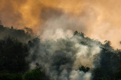 Brazil still ravaged by fires