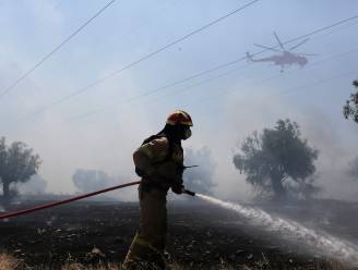Tientallen Griekse bosbranden onder controle gebracht