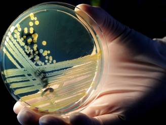 Nederland start fonds in strijd tegen superbacteriën