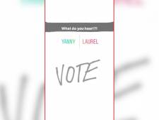 Waarom je 'Laurel' of 'Yanny' hoort