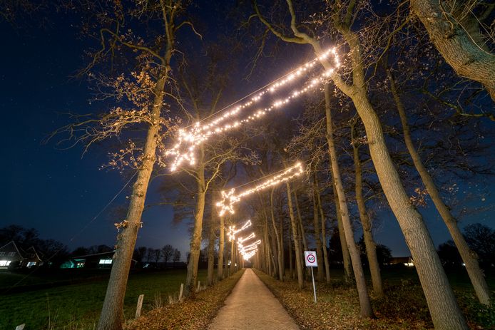 Kerstlampjes ophangen in van de gemeente? Dat mag niet zomaar! | Tilburg | bd.nl