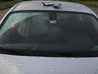 ‘Akelige methode’: autodieven plunderen BMW’s door dak open te knippen