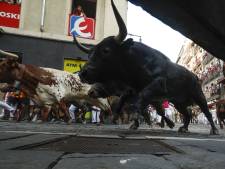 Drie mensen in Spanje, onder wie toerist, sterven na door stier te zijn gespietst