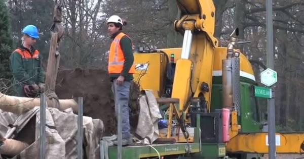 Buurtbewoner filmt metamorfose door bomenkap in Ellecom - De Gelderlander