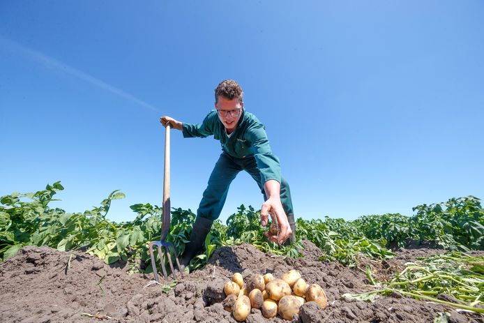 Marc van der Boel heeft vijftig koeien maar schakelt langzaam over op akkerbouw.