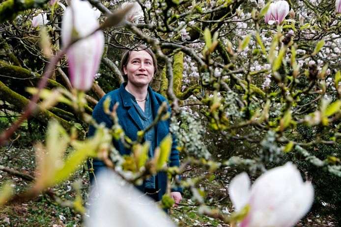 Struinen door unieke rododendrons en tsuga’s: het sprookjesachtige ...