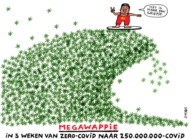null Beeld Bas van der Schot