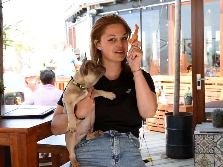 Honden hebben bij deze strandtent een eigen menukaart