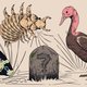 Van deze uitgestorven dieren ontbreekt ieder spoor