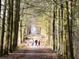 Wandelen in het Raspaillebos.