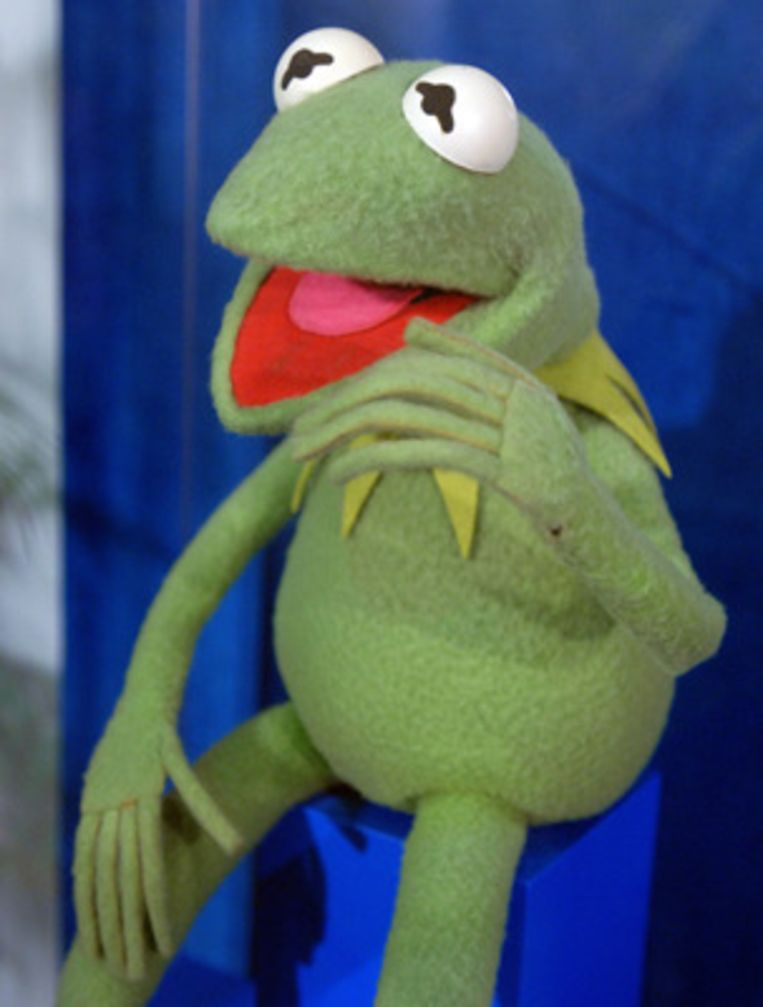 Ver weg verdamping roestvrij Kermit de Kikker geschonken aan museum | Het Parool