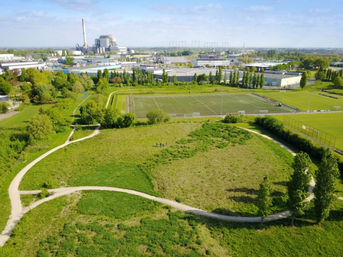 Het voedselbos in Hees, groene buffer tussen woonwijk en industrieterrein.