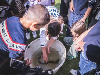 En dan mag je plots paling vangen: Gentse scholieren beleven topdagje aan Watersportbaan