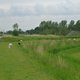 Dwalen door het waterig verleden van dit waarland
