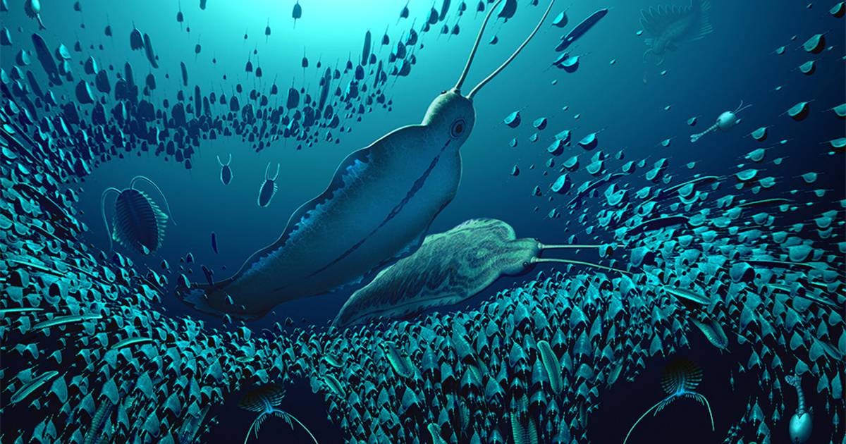 Fossil of extinct prehistoric marine predator 'terror monster' discovered in Greenland |  the animals