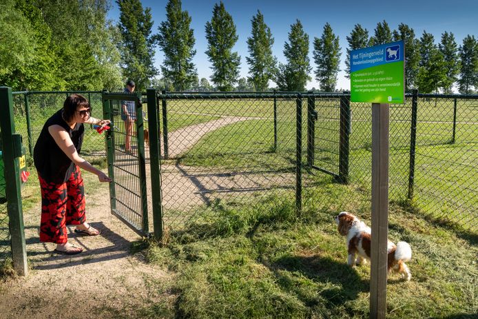 regelmatig een miljoen kleuring Wel of geen 'blaftaks, gemeenten hebben toch hondenvoorzieningen |  Bommelerwaard | bd.nl