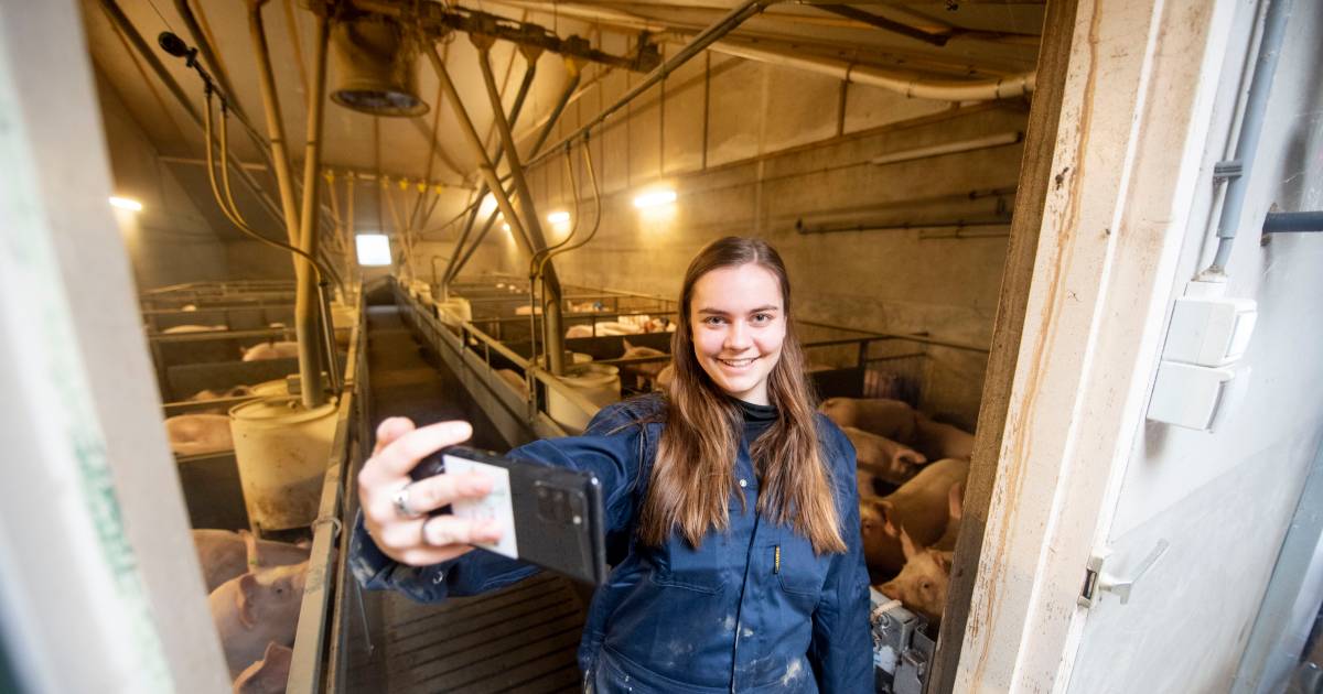 Rhodee (18) uit Marle laat in vlogs echte boerenleven zien: ‘Biggen vinden het grappig als ik de sta