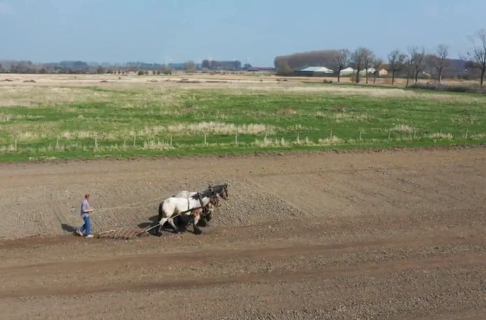 Open dag  van  Stichting Het Werkend Trekpaard Zeeland.
