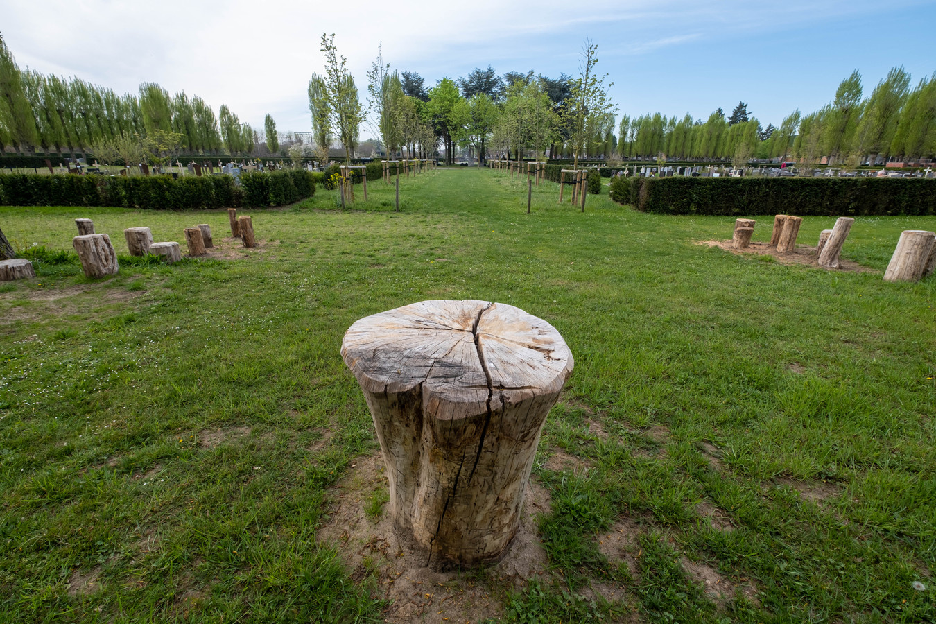 Natuurbegraafplaats in juni klaar «Wat is mooier dan na je dood terug één te worden met de