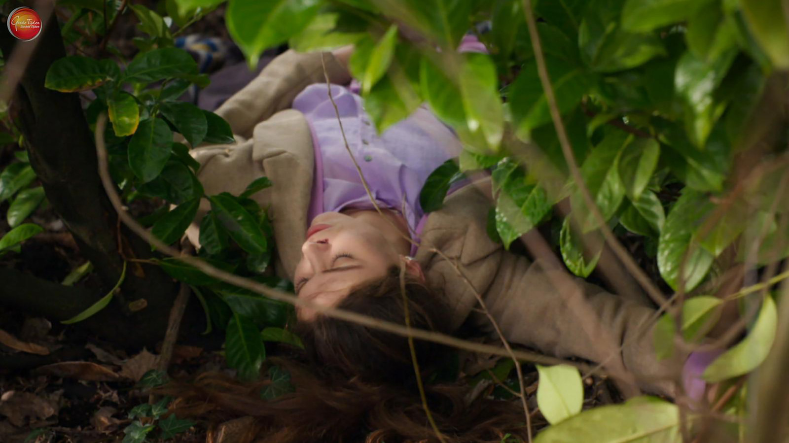 Amelie (Bo Maerten), de assistente van Ludo, wordt in de cliffhanger aangereden. Zou ze het overleven?