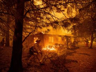 VIDEO. Wind wakkert bosbranden in Californië verder aan, nog steeds honderden vermisten