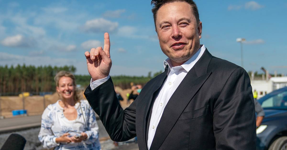 Twitter attiva una “pillola tossica” contro Elon Musk: cos’è ed è una tattica vincente per spaventare le acquisizioni?  † Capitale