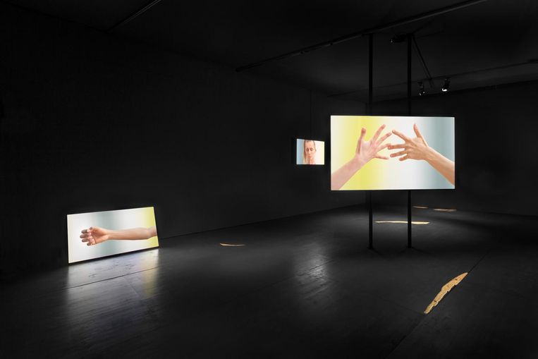 Het werk van Katarina Zdjelar, die de kijker zich laat concentreren op het expressieve contact van handen en armen. Beeld Daniel Nicolas