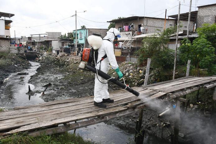 In heel Guayaquil wordt de openbare ruimte ter preventie van het virus gedesinfecteerd. (14/02/2020)