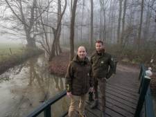 Landschap Overijssel vervangt aftakelende beuken op De Horte bij Wijthmen: tientallen bomen plat
