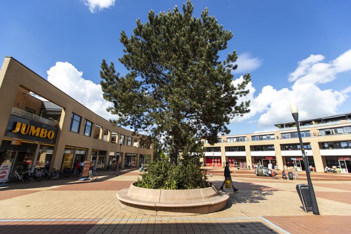 Cameratoezicht op het Kuperserf wordt serieus overwogen nu de overlast van groepen hangjongeren op het centrale plein in de Kruidenwijk steeds groter wordt.