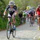 Organisatoren Ronde van Vlaanderen delen acht wildcards uit
