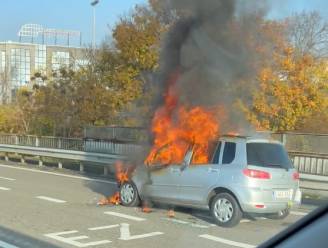 Wagen brandt volledig uit op Antwerpse Ring
