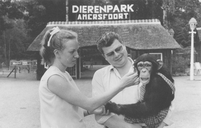 Astrid en Henk Vis met chimpansee Mike voor de ingang van Dierenpark Amersfoort.