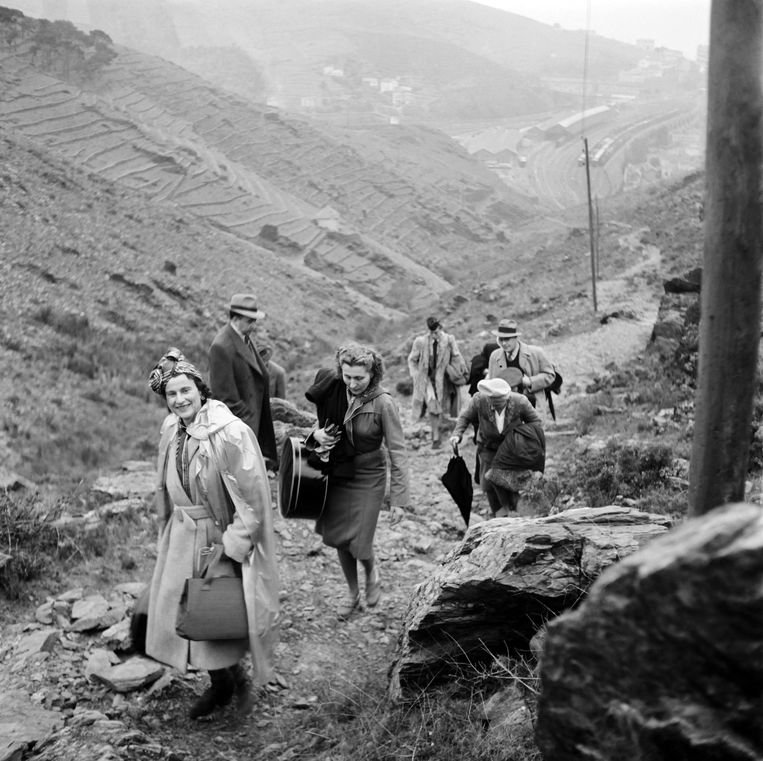 Spaanse vluchtelingen aan de Frans-Spaanse grens in 1946. Ook Vincent Scheltiens komt uit 
een familie die zwaar te lijden had onder de dictatuur van Franco. Beeld AFP