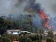 Gigantische bosbrand Catalonië wellicht ontstaan door vanzelf ontbrande mest in volle zon