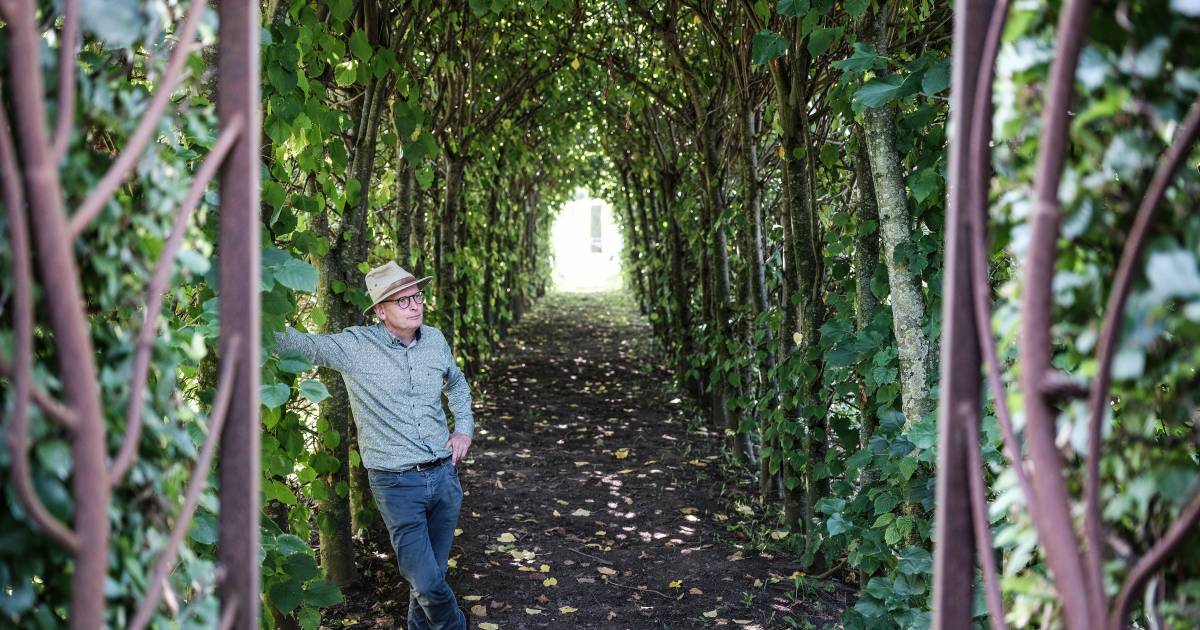 Groengoeroe Nico vernieuwt als geen ander: ‘Ik denk dat dit de enige weg is’