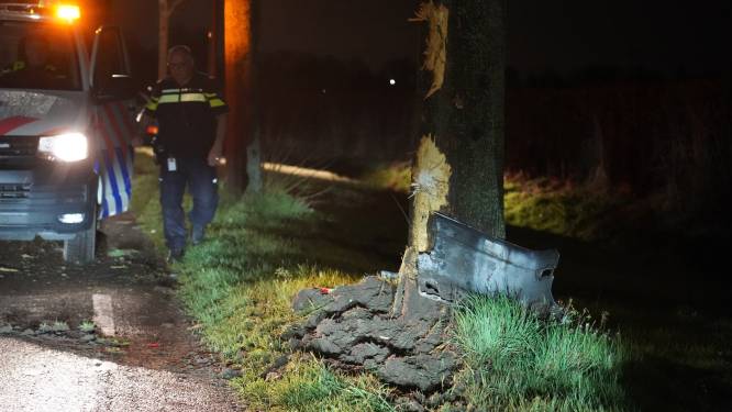 Bestelbus vliegt uit de bocht en schampt bomen in Dongen, bestuurder blijft ongedeerd