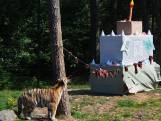 Tijgers vieren feest in Beekse Bergen