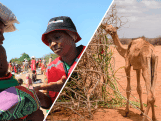 Wanhoop door honger en droogte in Hoorn van Afrika