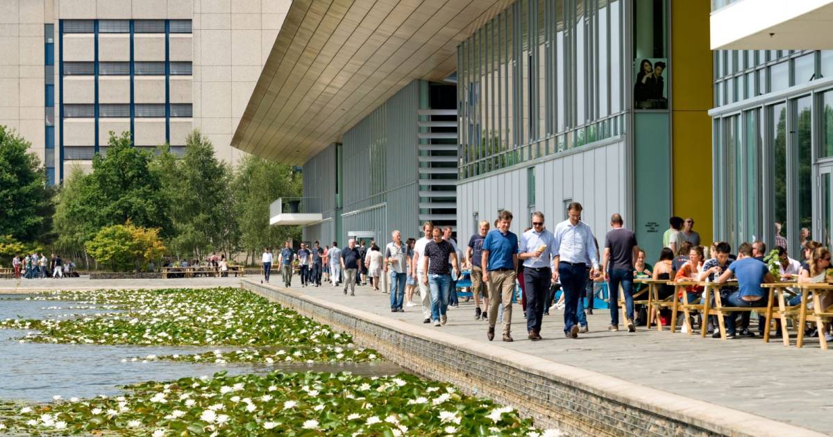 ‘Wet die de Eindhovense hightechsector moet beschermen schrikt investeerders juist af’