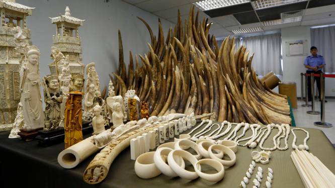 China gaat ivoorhandel verbieden tegen eind 2017