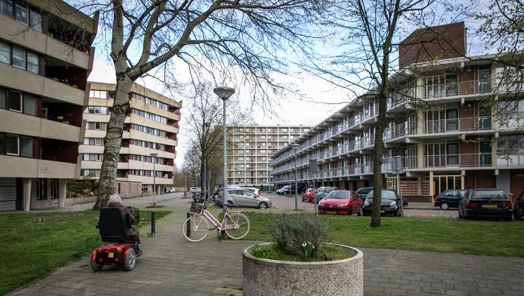 Bewoners van de buurt Amerbos in Noord zien de komst van een 24 uursopvang niet zitten. Beeld Dingena Mol