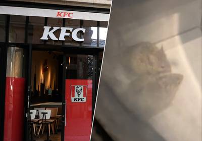 KIJK. Voorbijganger filmt hoe muizen door KFC-filiaal lopen: “Daar zet ik geen voet meer binnen”